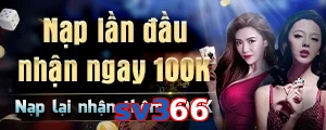 sv366