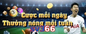 sv366